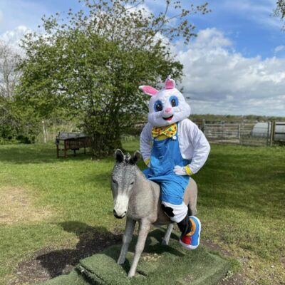 Easter Bunny On The Donkey